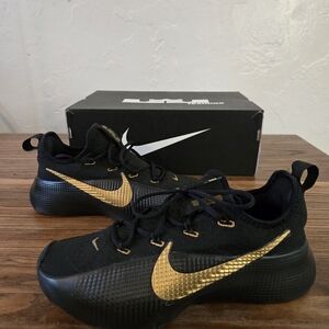 Nike LeBron TR 1 Basketball Men's Black Metallic Gold FJ6151-004